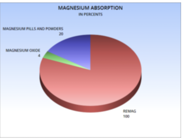 Geriausiai įsisavinamas magnis