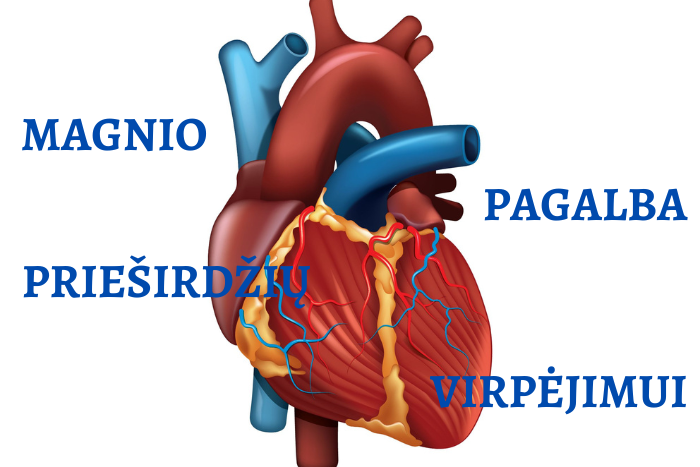 Magnio pagalba prieširdžių virpėjimui
